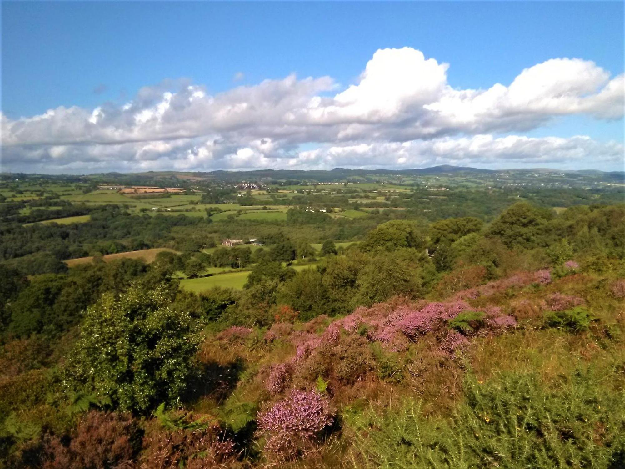 Tranquil Countryside Cottage For Two Wrexham Luaran gambar