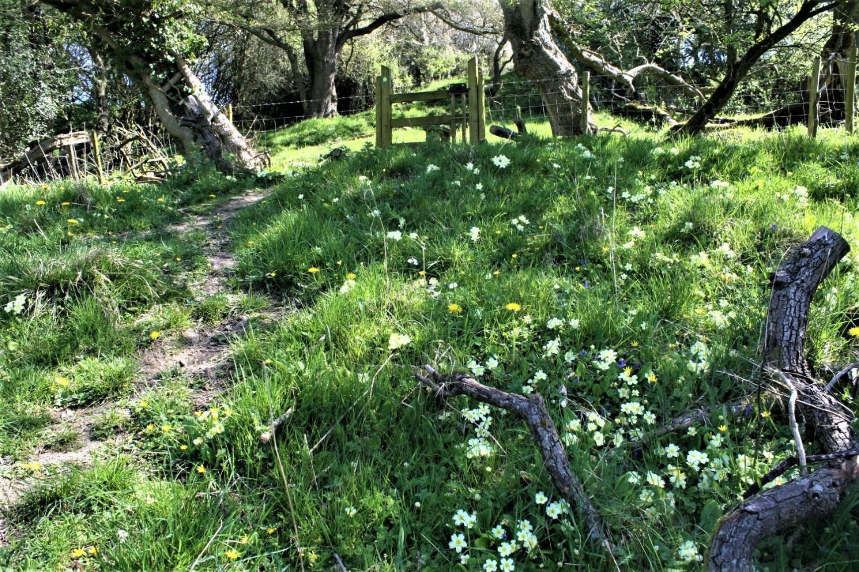 Tranquil Countryside Cottage For Two Wrexham Luaran gambar